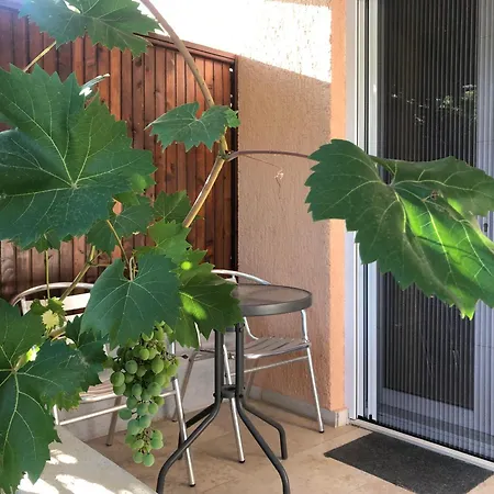 Double With Bathroom, Close, Kitchen Use 3*