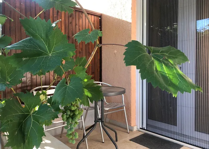 Double With Bathroom, Close, Kitchen Use 3*